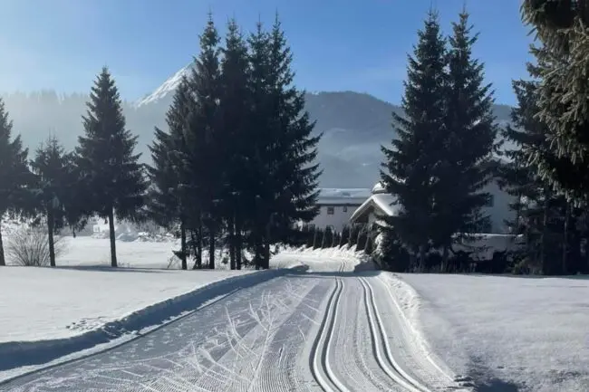 IMG_6667 Langlaufloipe Flachau Umgebung