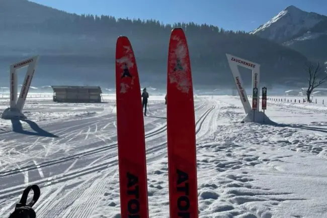 Img 6668 Tauernlopie, Altenmarkt im Pongau