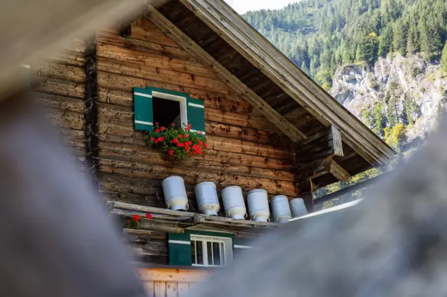 21 Flachau Sommer Wandern Almen Marbachalm Prechtlhuette 1