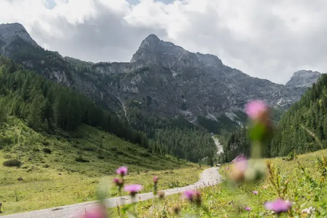 24 Flachau Sommer Wandern Marbach 10 24 Flachau Sommer Wandern Marbach 10