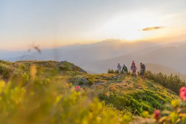 25 Flachau Sommer Wandern Berge 1 25 Flachau Sommer Wandern Berge 1