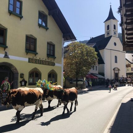 Herbsturlaub Herbsturlaub Salzburger Land