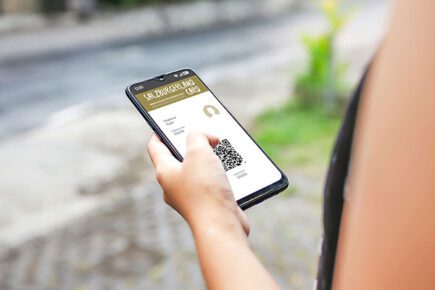 SalzburgerLand Card online