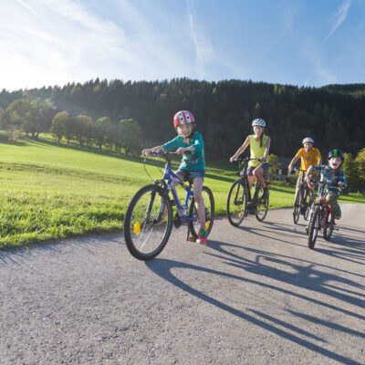 Biken & Radfahren - Sommerurlaub in Flachau