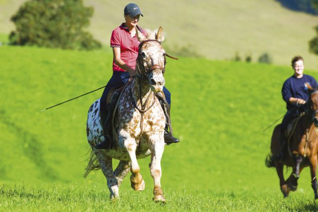 Reiten - Sommerurlaub in Flachau