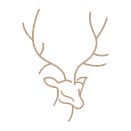 wildtage2